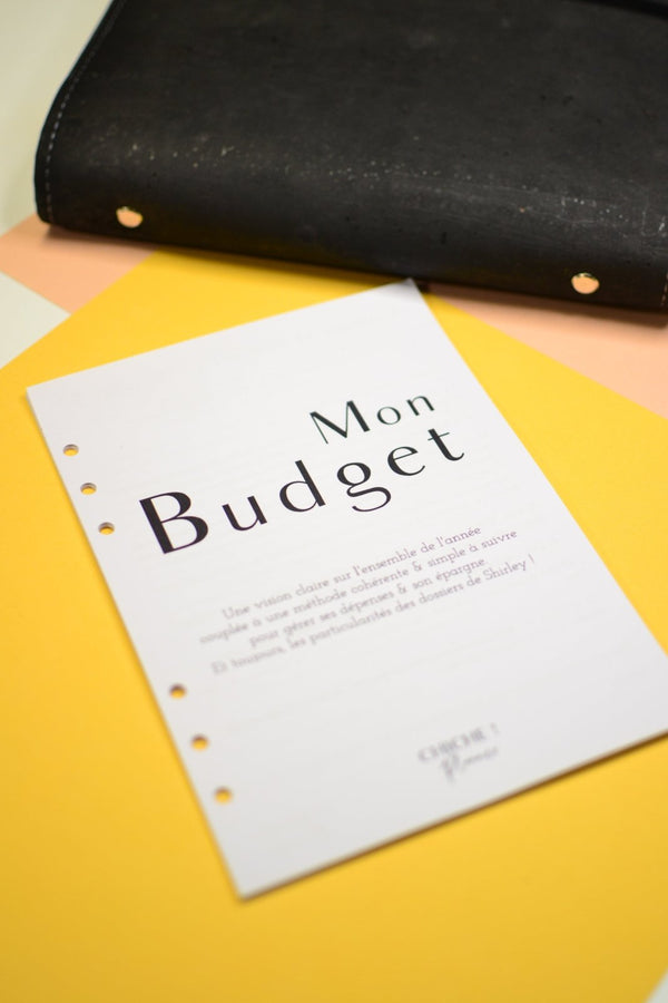 Imprimez votre budget et vos dépenses - Shirley Chiche planner